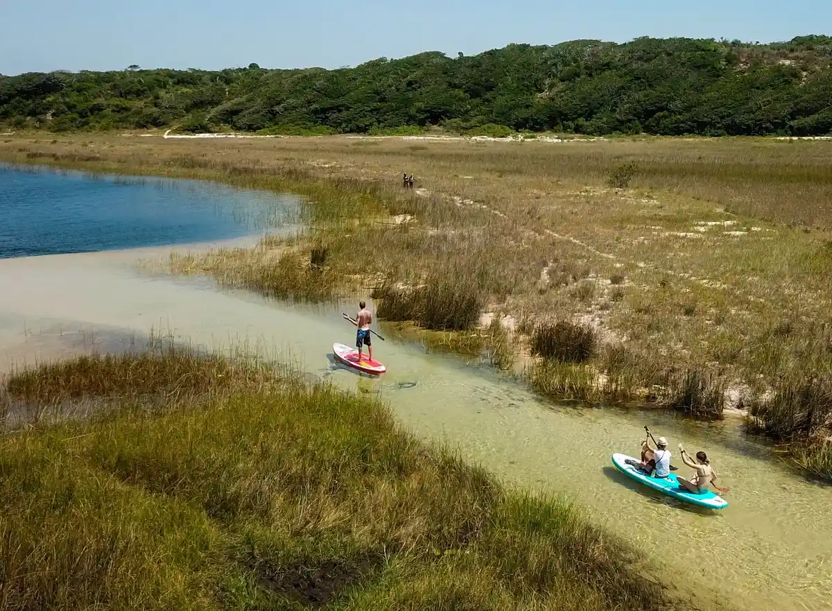 Paddleboarders explorant un bras d'eau peu profond bordé de végétation à Bilene