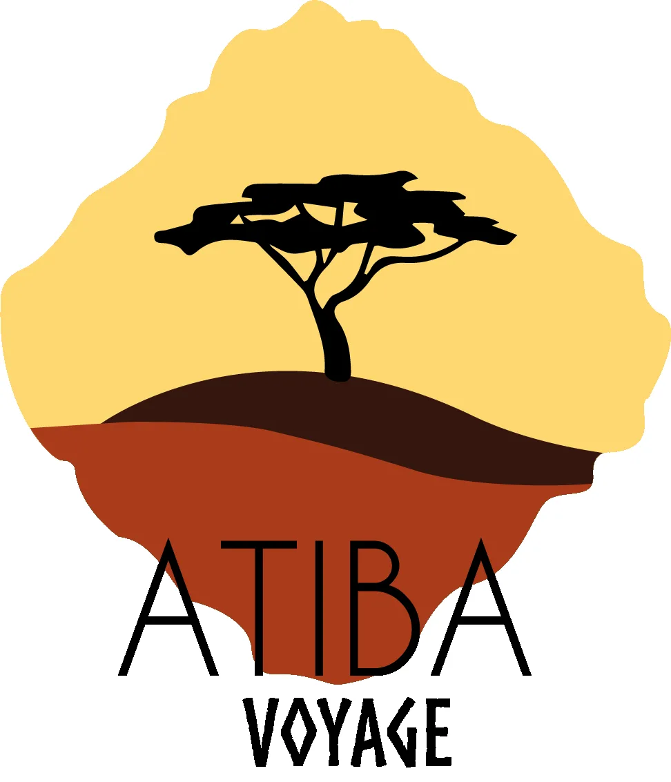 logo Atiba